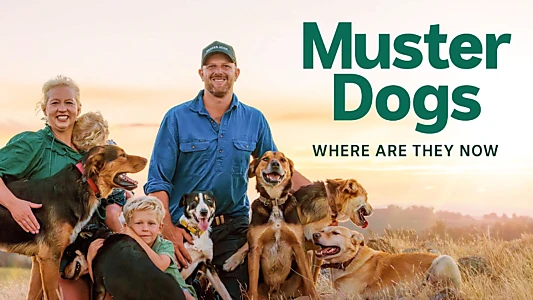 Muster Dogs: Where Are They Now