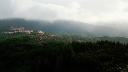 Sonaggios