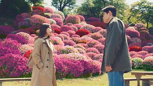 Petals and Memories