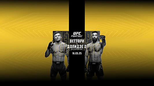 UFC Fight Night 254: Vettori vs. Dolidze 2
