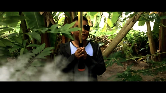 Master1002 The Battle Of Banana Grove 4K REMASTERED