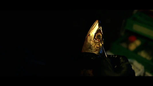 The Night of the Güecubú
