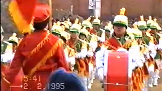 1995年2月2日民间举办迎喜花会