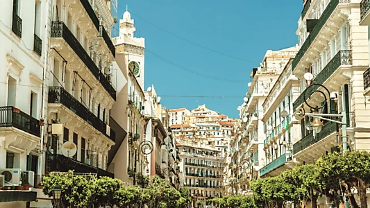 Regards D'en Face - Alger