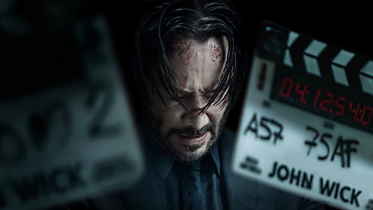 Wick Is Pain