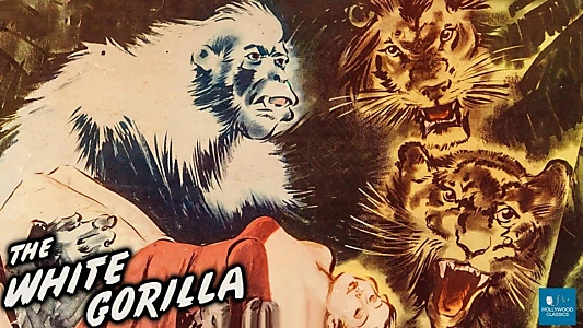 The White Gorilla