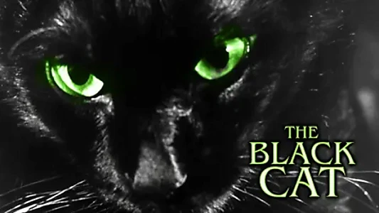 The Black Cat