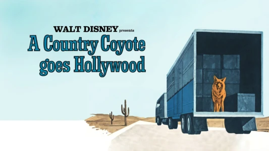 A Country Coyote Goes Hollywood