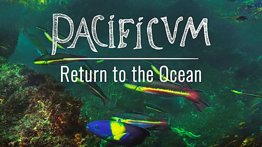 Pacificum: Return to the Ocean