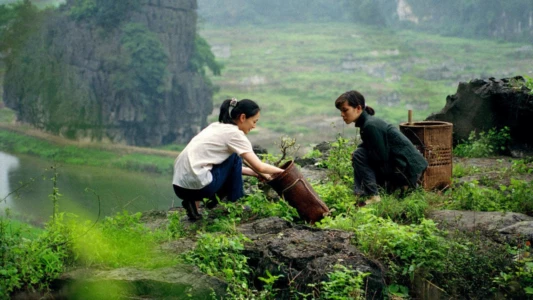 The Chinese Botanist's Daughters