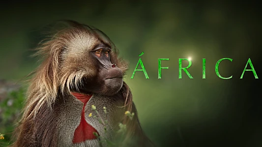 Africa
