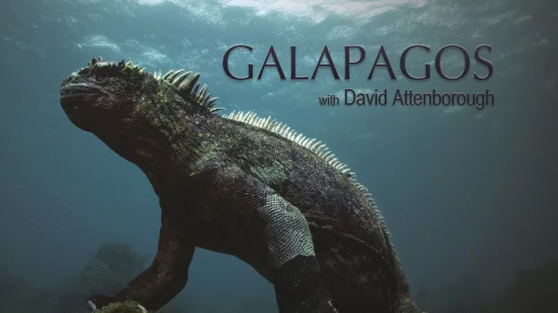 Galapagos 3D with David Attenborough