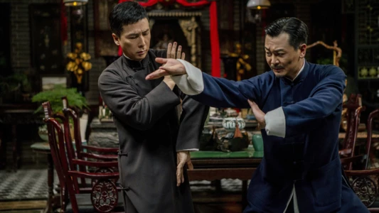 Ip Man 4: The Finale