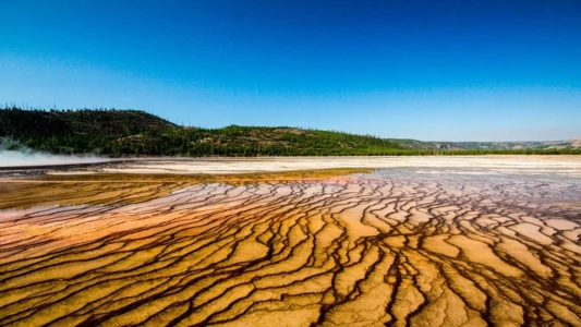 World Natural Heritage USA: Yellowstone National Park