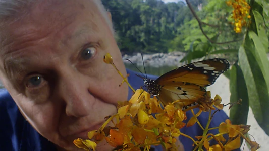 David Attenborough's Conquest of the Skies