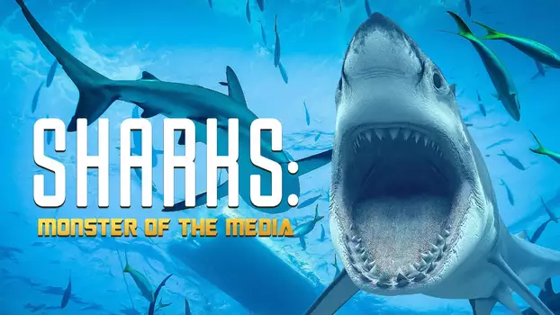 Sharks: Monster of the Media