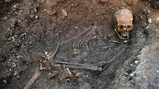 Richard III: The King in the Car Park