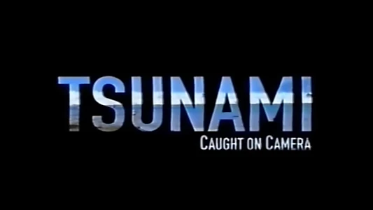 Tsunami: Caught on Camera