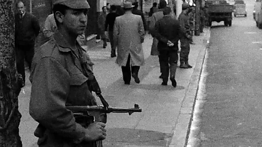 Algeria, Year Zero