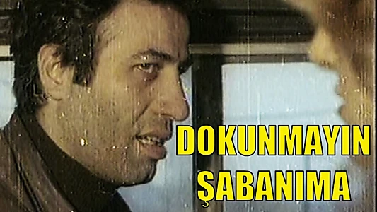 Dokunmayın Şabanıma