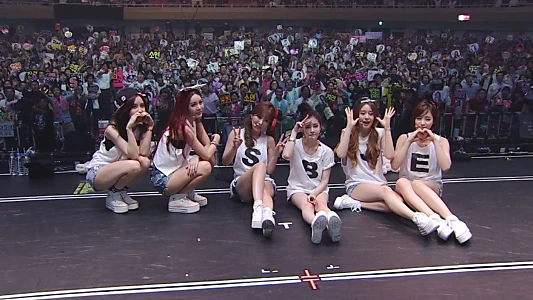 T-ARA Japan Tour 2013 - Treasure Box- 2nd TOUR FINAL In Budokan