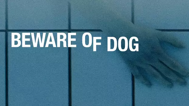 Beware of Dog