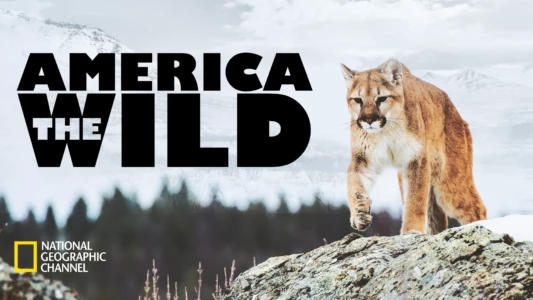 America the Wild with Casey Anderson
