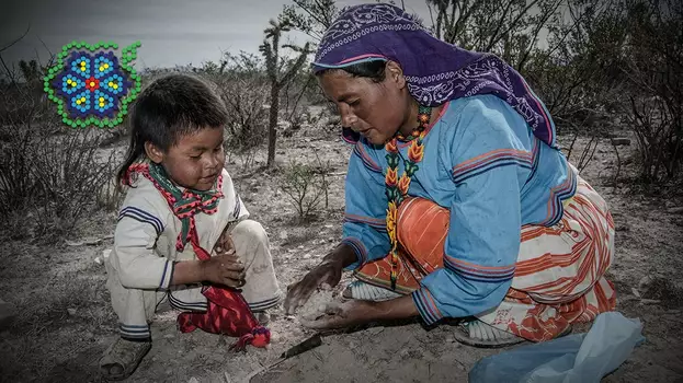 Huicholes: The Last Peyote Guardians