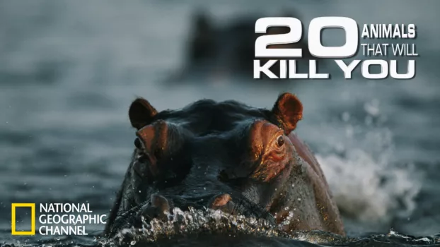 20 Animals That Will Kill You