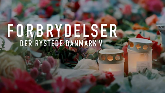 Forbrydelser der rystede Danmark