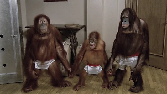 Going Ape!