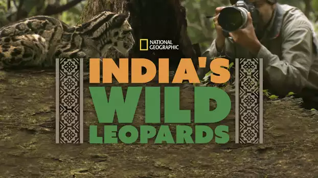 India's Wild Leopards