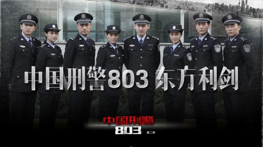 China's Criminal Police 803