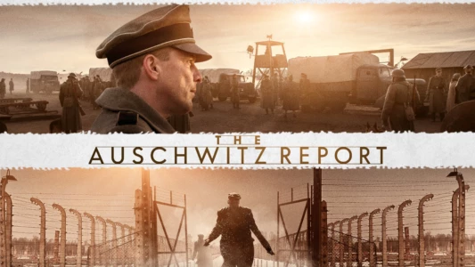 The Auschwitz Report