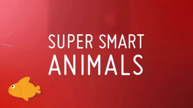 Super Smart Animals