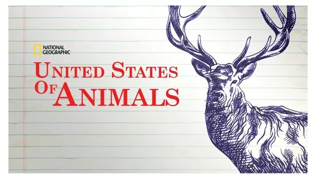 United States of Animals