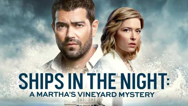 Ships in the Night: A Martha's Vineyard Mystery