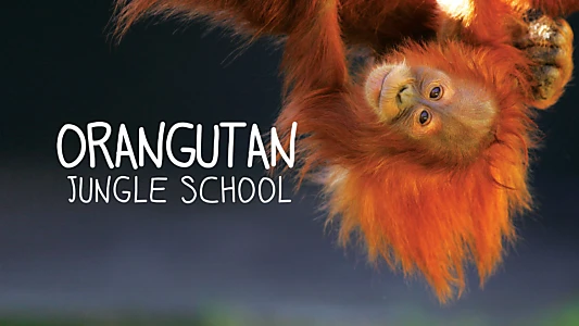 Orangutan Jungle School