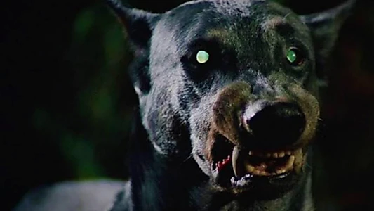 Devil Dog: The Hound of Hell