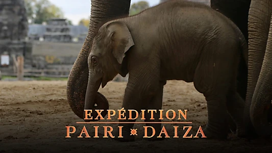 Expédition Pairi Daiza