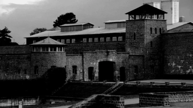 The Mauthausen Resistance