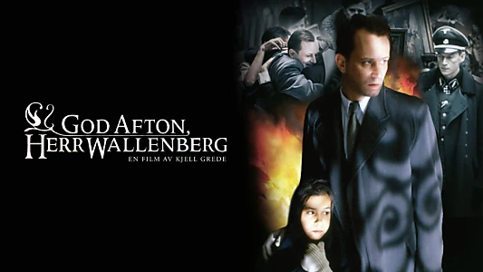 Good Evening, Mr. Wallenberg