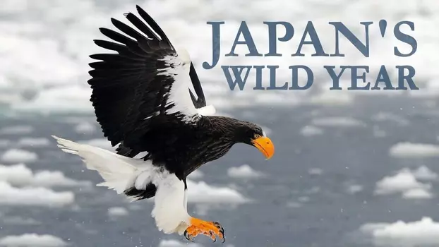 Japan's Wild Year