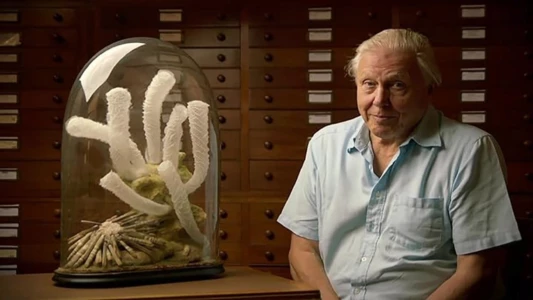 Attenborough's Ark