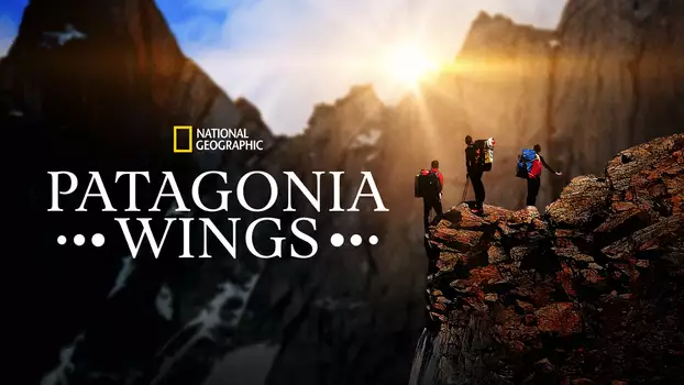 Patagonia Wings