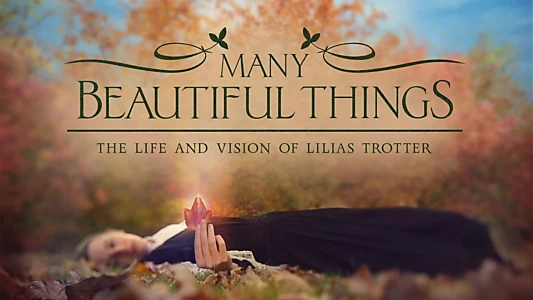 Many Beautiful Things