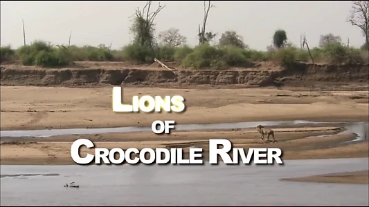 Lions of Crocodile River