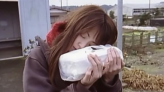 Lunch Box