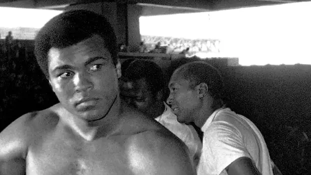 Ali's Comeback: The Untold Story
