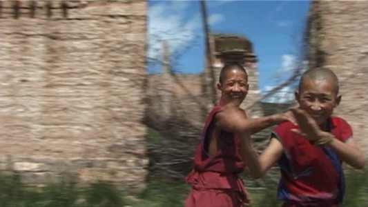 Angry Monk - Reflections on Tibet
